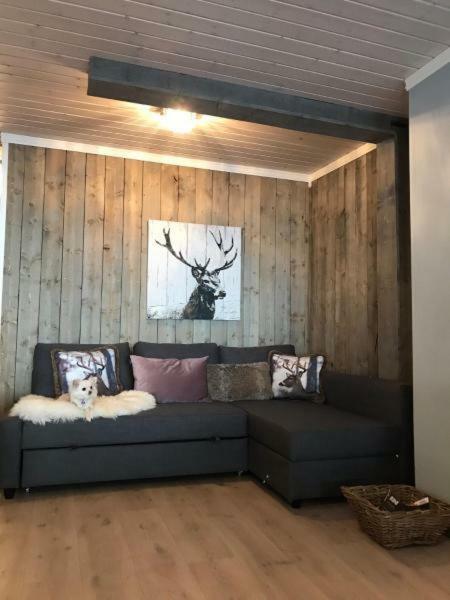 Kvamseter Lodge - Mountain Apartments นูร์ไฮม์ซุนด์ ภายนอก รูปภาพ