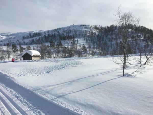 Kvamseter Lodge - Mountain Apartments นูร์ไฮม์ซุนด์ ภายนอก รูปภาพ